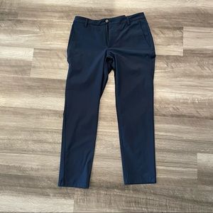 EUC Birddog pants with liner. 32x30